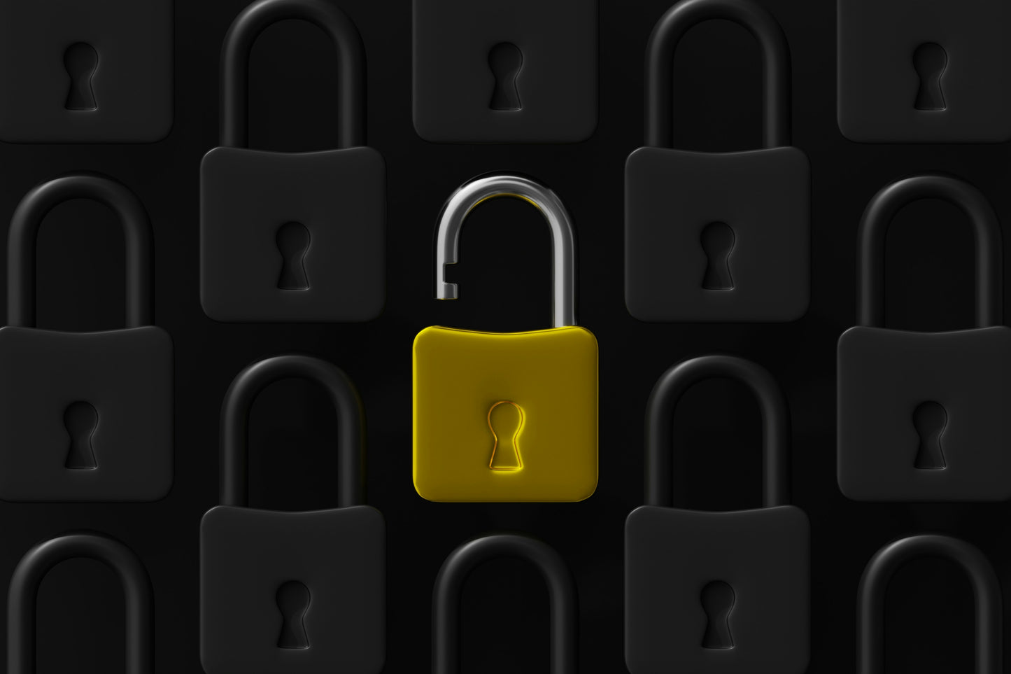 CMS Vulnerability Scan and Risk Summary