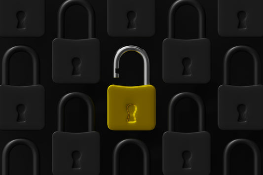 CMS Vulnerability Scan and Risk Summary